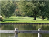 Lake at the Golf Course(PDF)