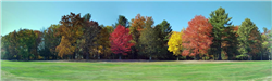 Colorful trees lining the fairway