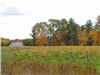 Clover Pond Vineyard Fall Crops