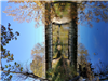 146 Bridge over Normanskill Fall Foliage