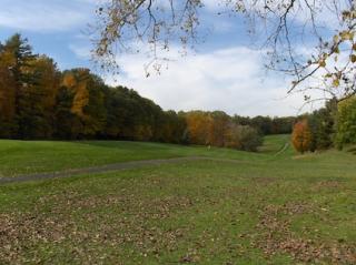 View of the fairway from the trees