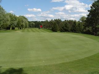 Golf Green with red flag