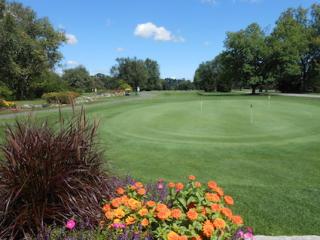 Image of the green with surrounding bushes and flowers