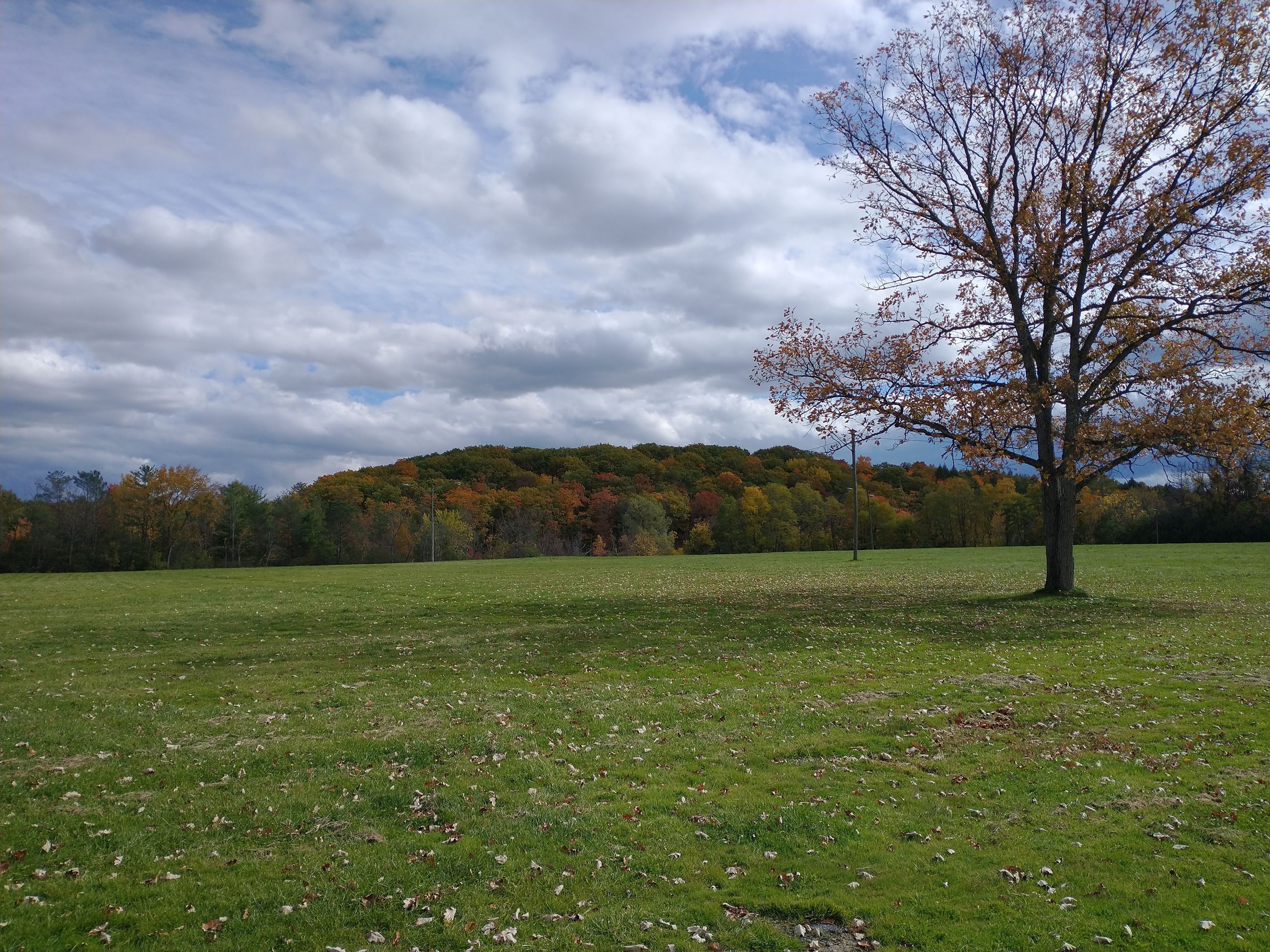 Altamont Fairgrounds Fall Foliage