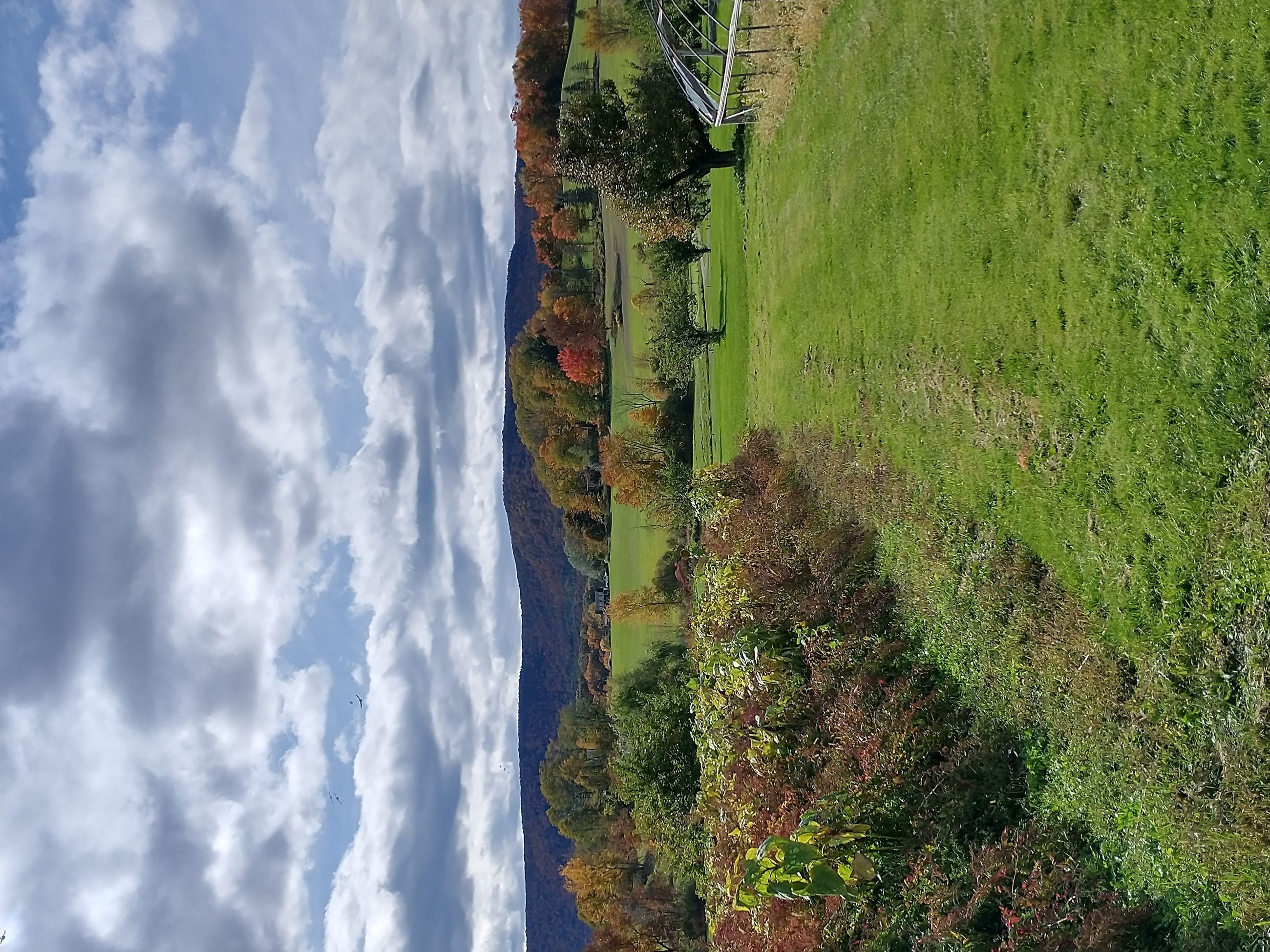 Altamont Orchards Fall Foliage Landscape 