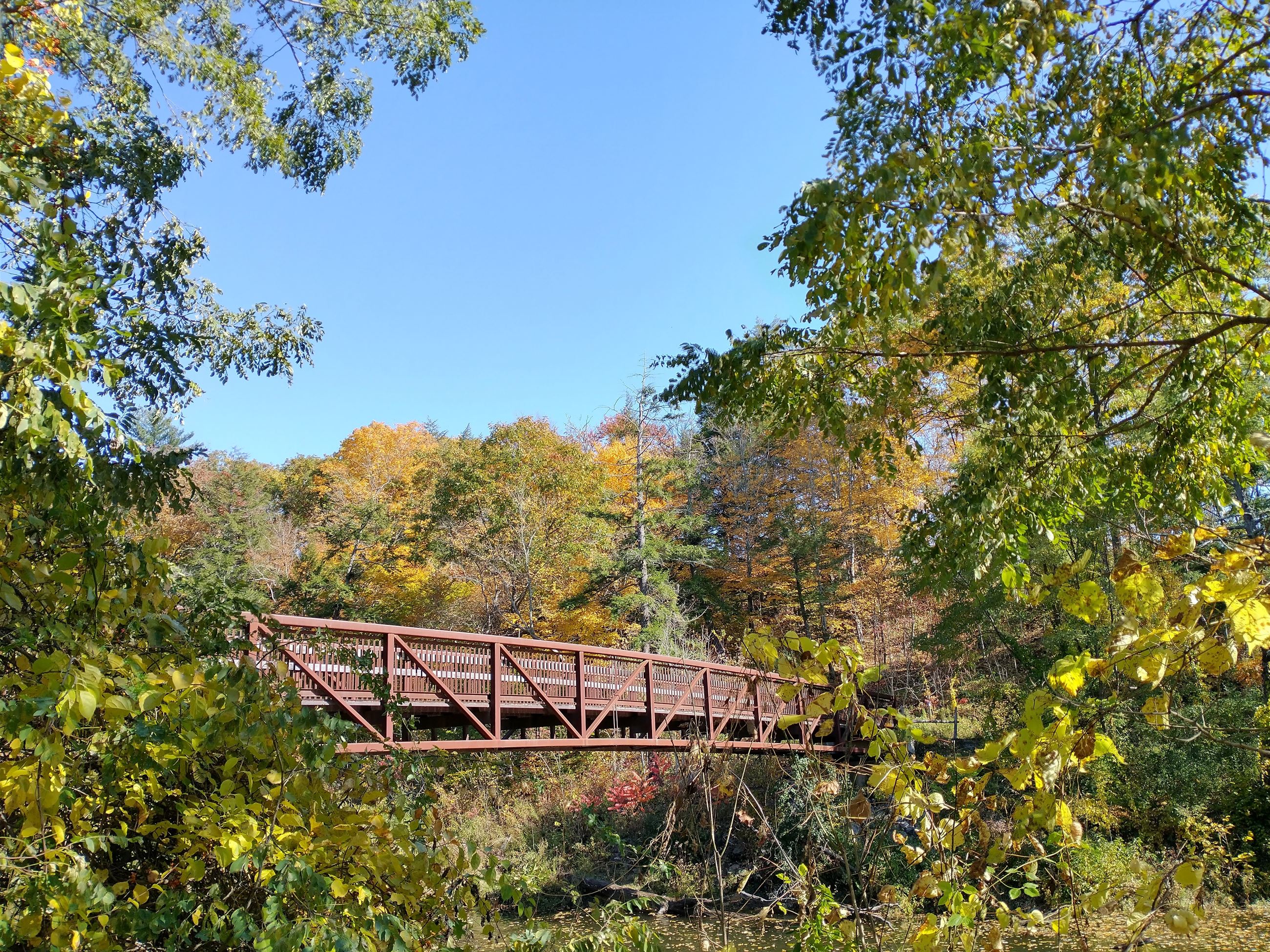 Normanskill Pedestrian Bridge Guilderland Hiking Trails