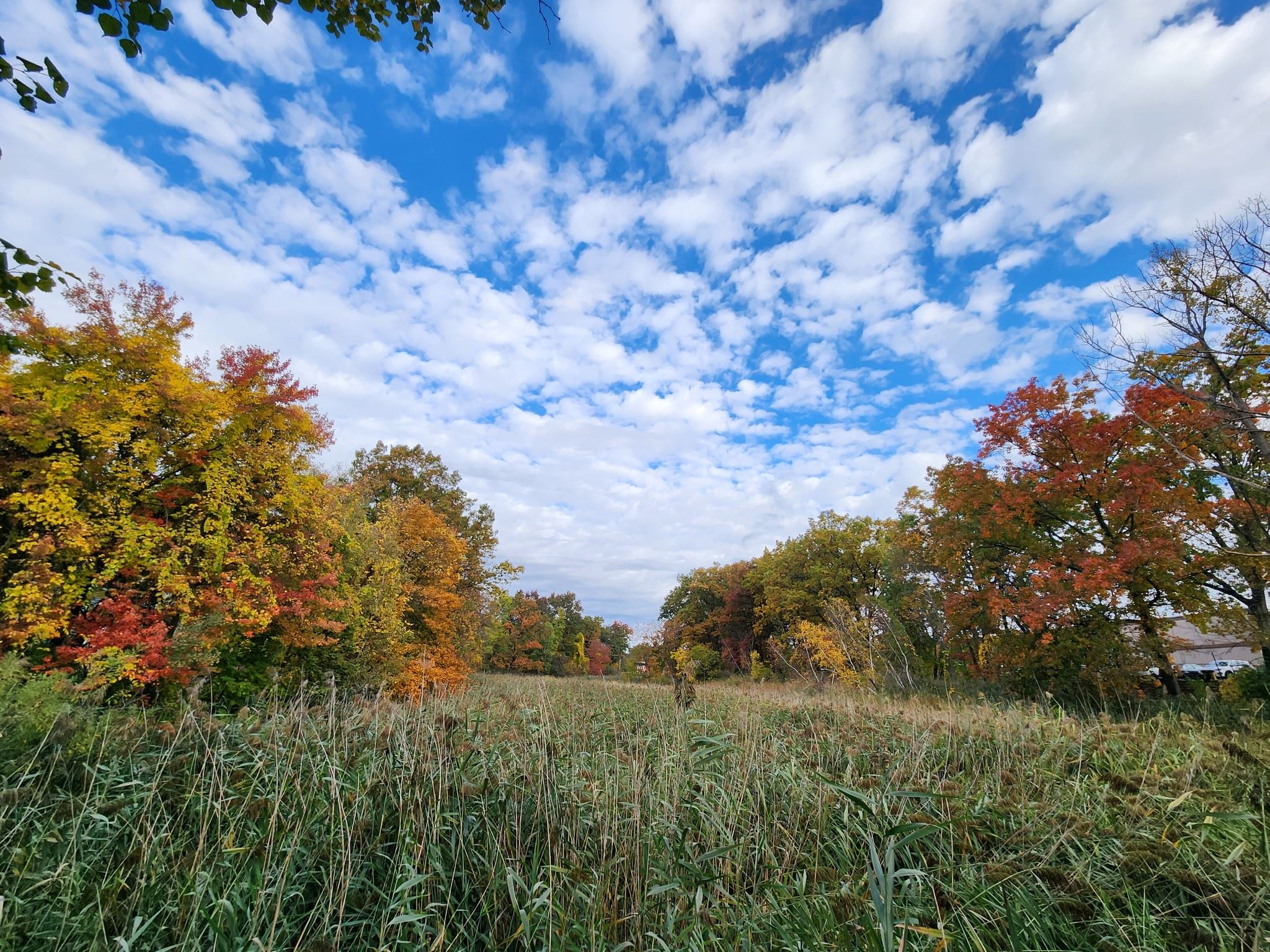 McKownville Reservoir Park
